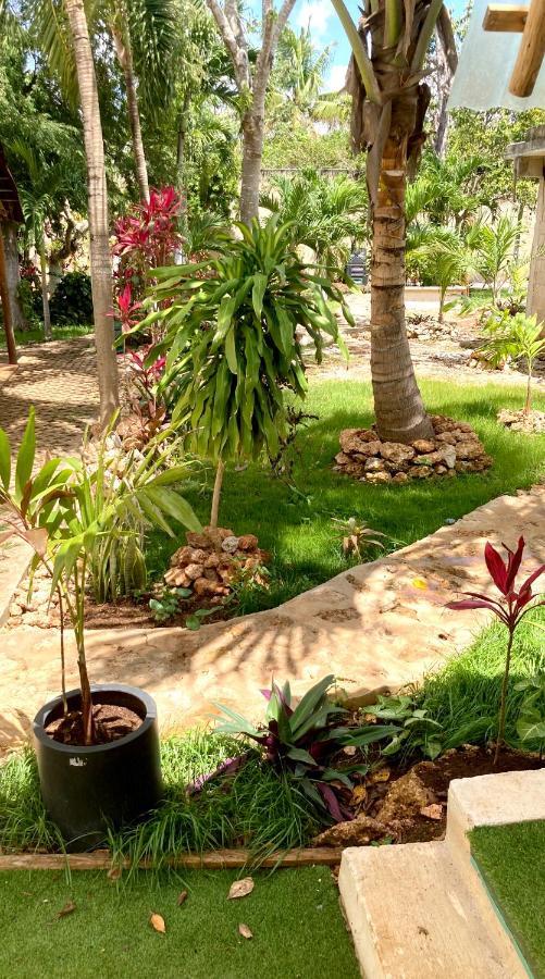 Green Paradise Leona Vicario Buitenkant foto