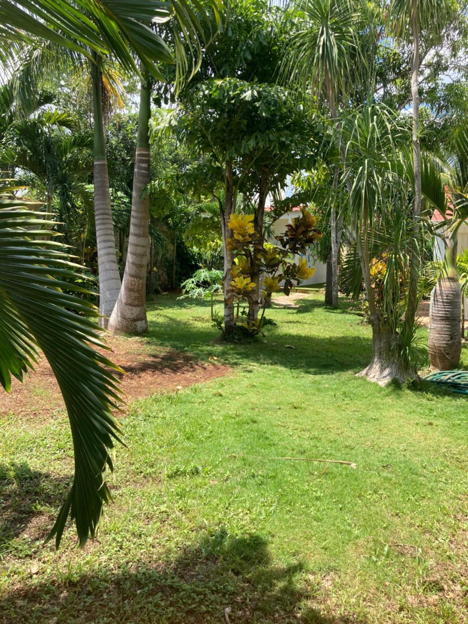Green Paradise Leona Vicario Buitenkant foto