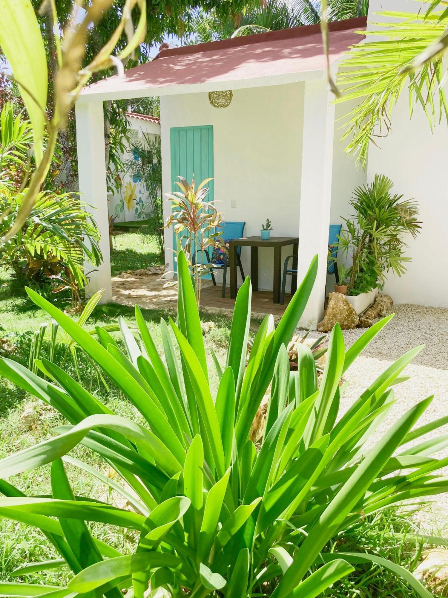 Green Paradise Leona Vicario Buitenkant foto
