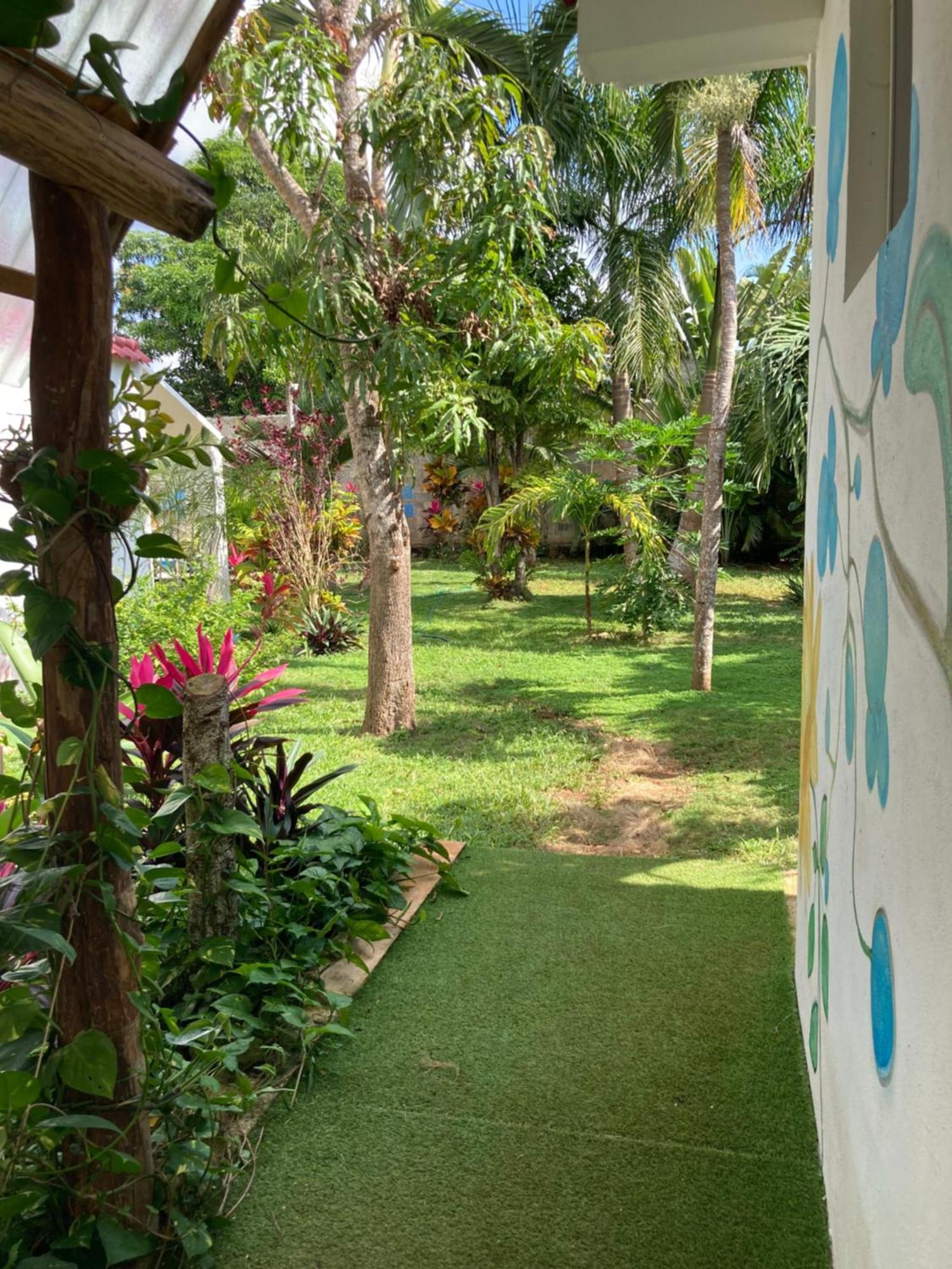 Green Paradise Leona Vicario Buitenkant foto