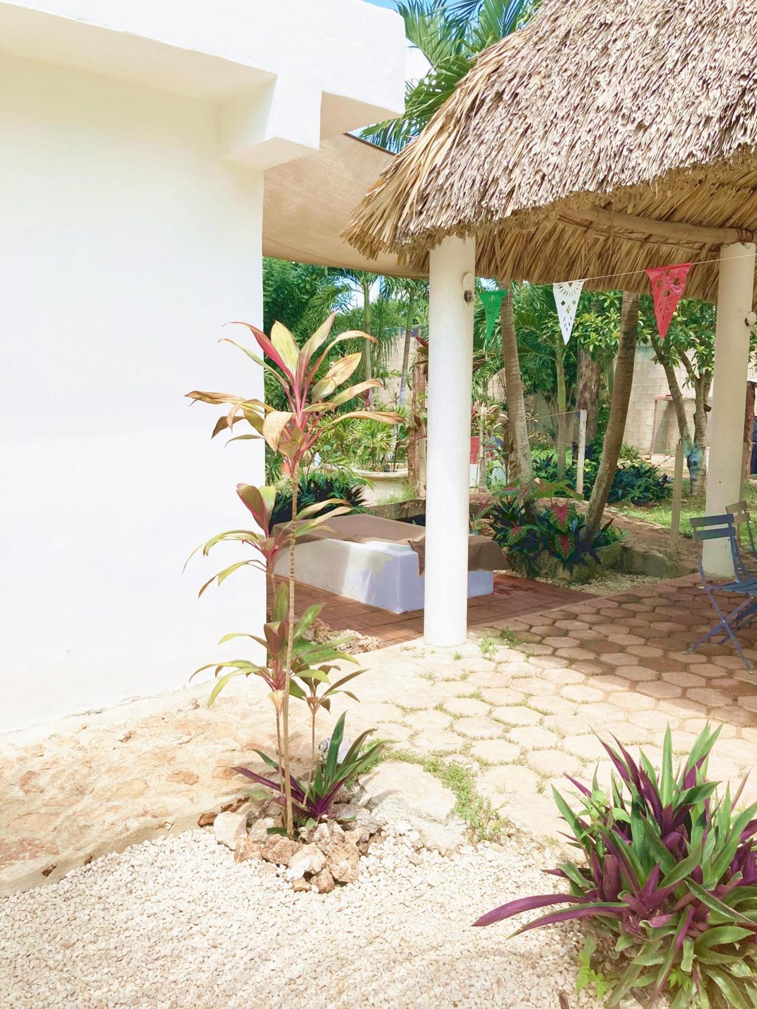 Green Paradise Leona Vicario Buitenkant foto