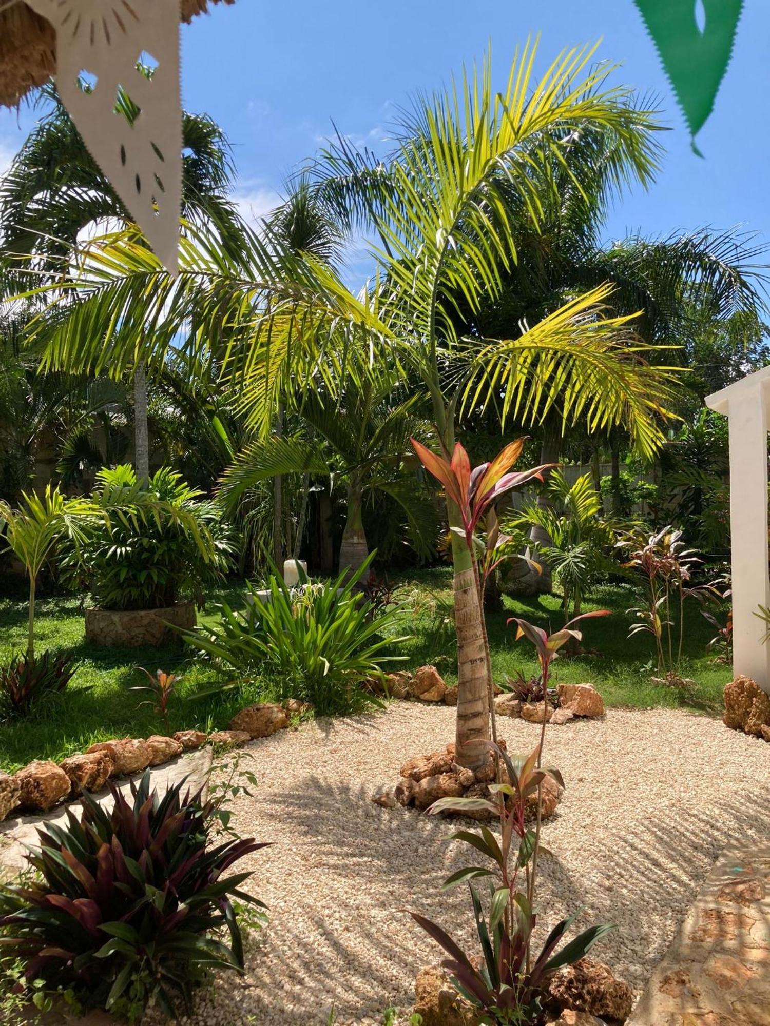 Green Paradise Leona Vicario Buitenkant foto