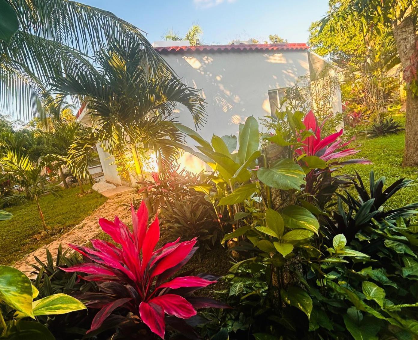 Green Paradise Leona Vicario Buitenkant foto