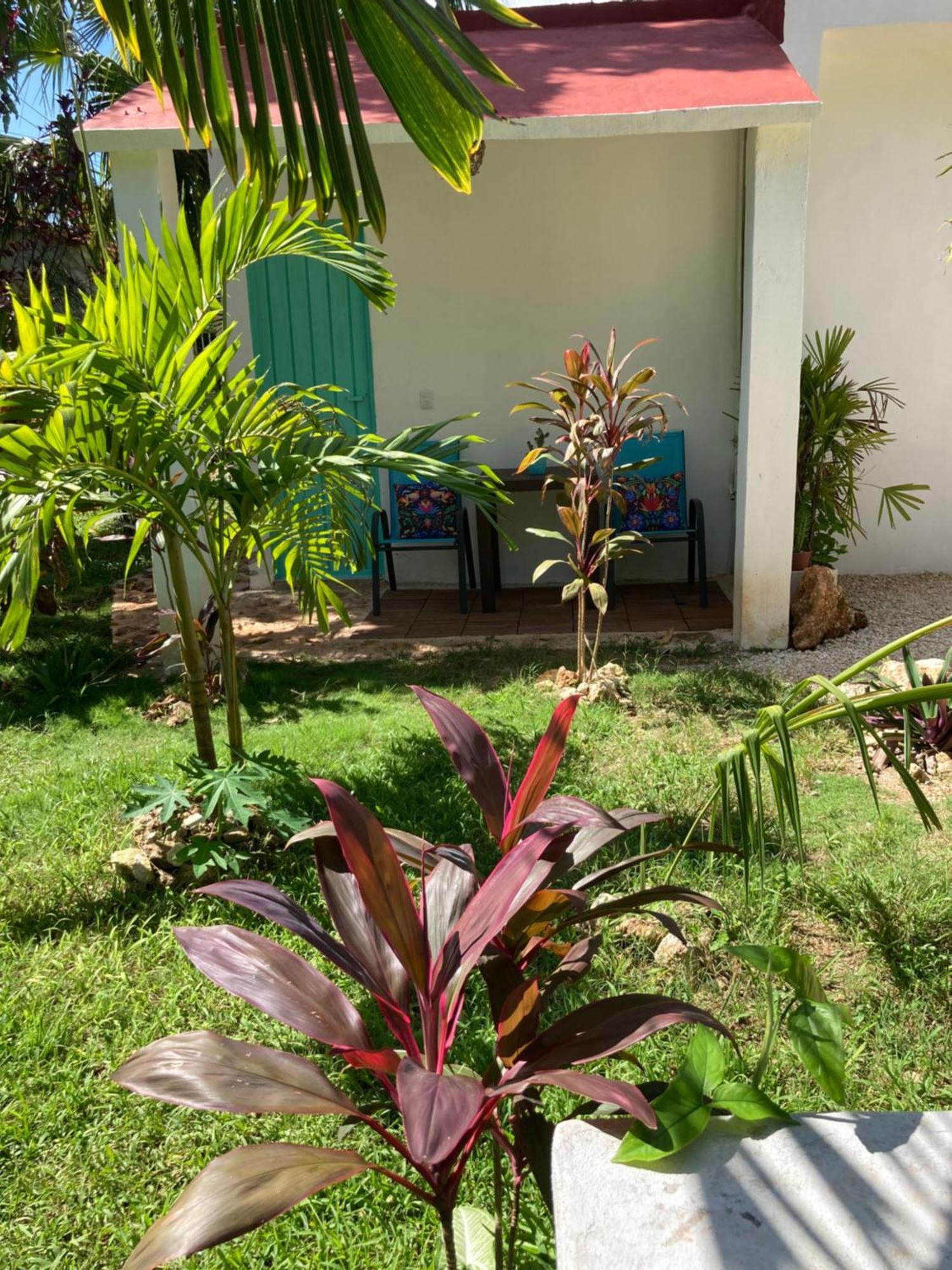 Green Paradise Leona Vicario Buitenkant foto